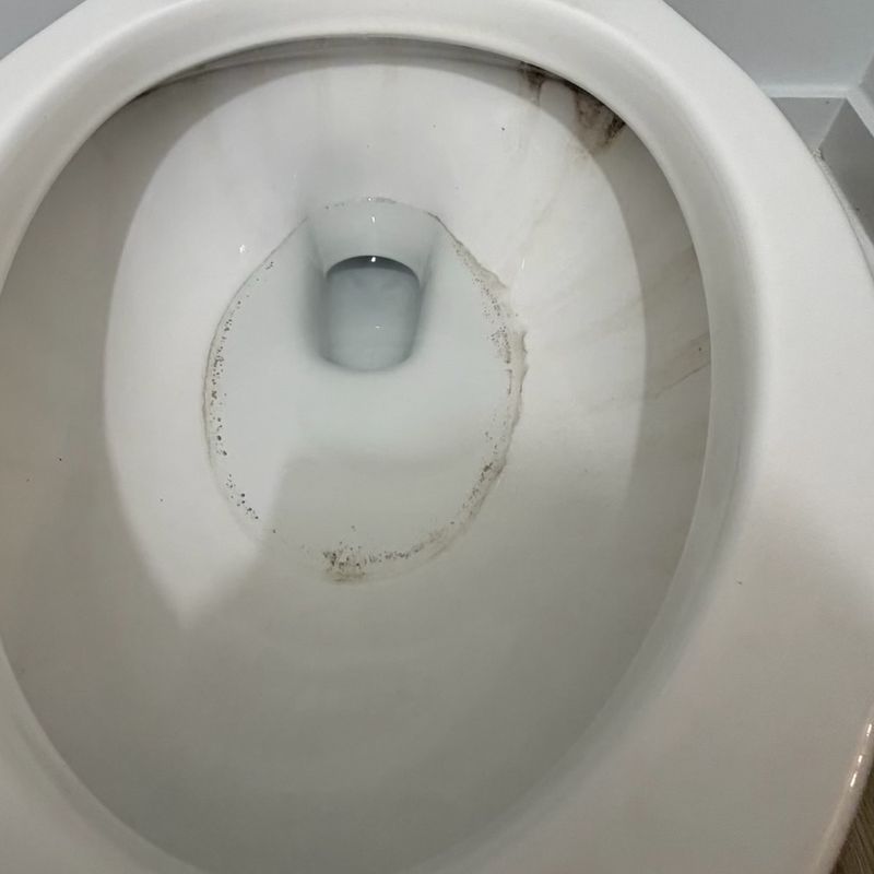 Toilet bowl with a dark ring and stains before cleaning